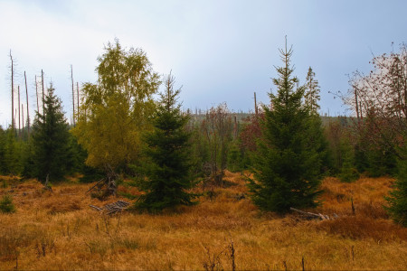 prameny vltavy25