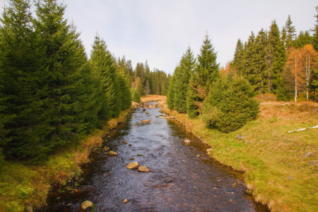 prameny vltavy25