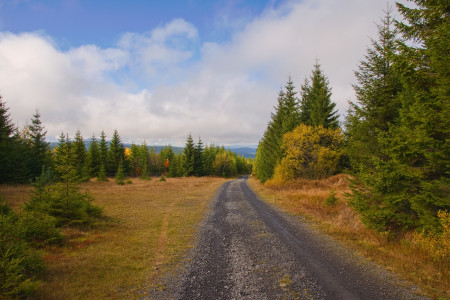 prameny vltavy25