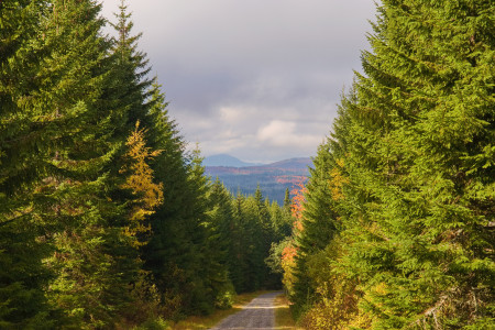 prameny vltavy25
