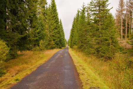 prameny vltavy25